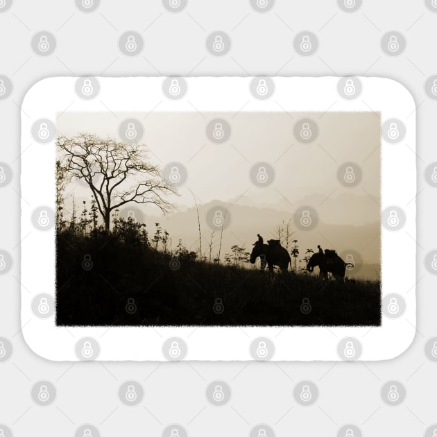 Asian Elephants Trekking In The Jungle Photograph Sticker by VintCam